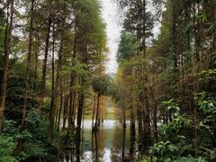 -广州市白云山风景名胜区