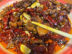 -柴窝堡22号辣子鸡·传承新疆菜