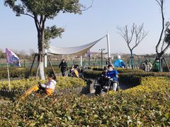 -季高兔窝窝亲子园(上海薰衣草公园店)