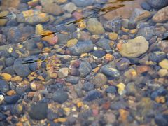 -淇河国家湿地公园