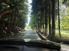 -山王坪喀斯特国家生态公园