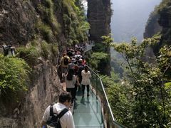 -雁荡山风景名胜区-小龙湫