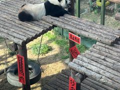 -大连森林动物园