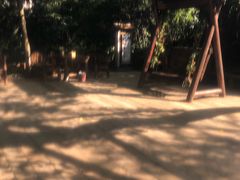 -天目湖御水温泉·度假酒店