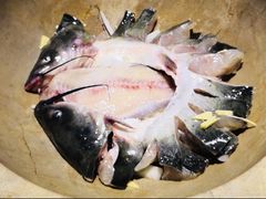 -鱼䲆鱻云南草帽蒸汽石锅鱼(云尚国际店)