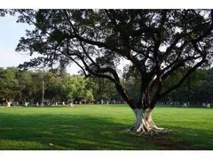 中山大学(南校区)-中山大学学者灵芝(园南路店)