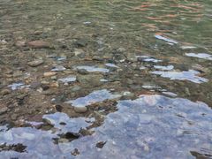 -安吉龙王山峡谷漂流