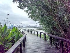 -长广溪湿地公园