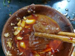 -肥龙火锅(南坪店)