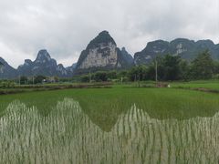 -明仕田园