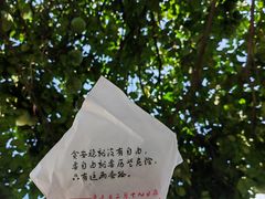 -孝店王酒酿馒头(安昌1店)