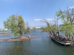 -洱海月湿地公园