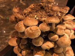 -捞神汤物料理(正大广场店)