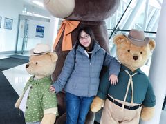 -济州岛泰迪熊博物馆