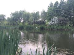 江湾湿地公园-新江湾城公园