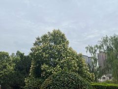 -西安汉城湖景区