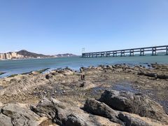 -星海湾跨海大桥