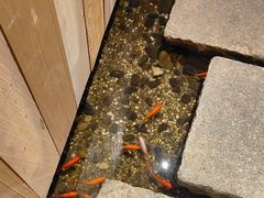 -邈墨茶馆(凤起路店)