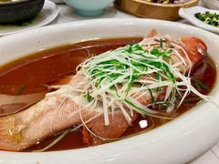 东星斑-石浦大酒店(百丈店)
