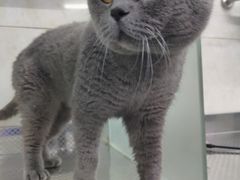 -天津前进宠物医院(前进道店)