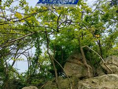 -紫金山山顶公园
