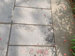-一寨两国风景区