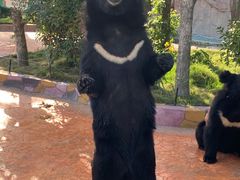 -南京金牛湖风景区