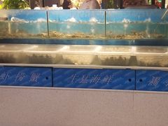 -深海800米海鲜自助(万达广场店)