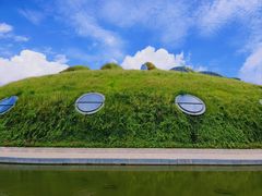 -上海吴淞炮台湾国家湿地公园