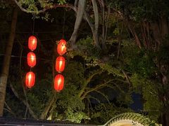 -侨美·唐荔园·40年地道粤菜