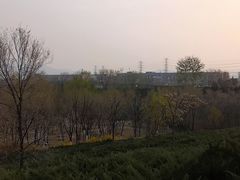 -滨河世纪广场公园