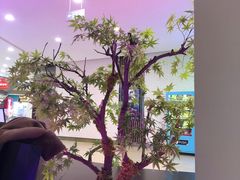 -九鼎轩火锅大排挡