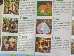 -太婆天府山珍酒楼(亚运村店)