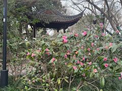 -钱王祠