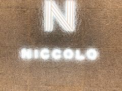 -长沙尼依格罗酒店