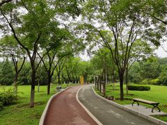 -滨河世纪广场公园