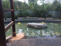 -溧阳天目湖天沐温泉