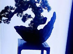 -滇铺子(欣都龙城店)