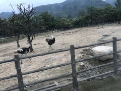 -西安秦岭野生动物园