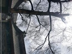 -满都海公园