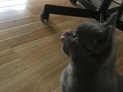 -壹人壹像工作室(购物公园店)