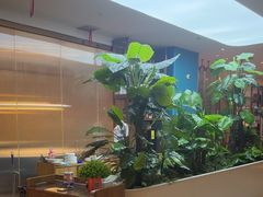 -悦海·家宴·冰花皮皮虾大锅贴(宝龙店)