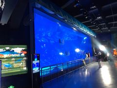 -烟台海昌鲸鲨海洋公园