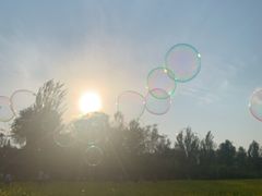 -长白岛森林公园