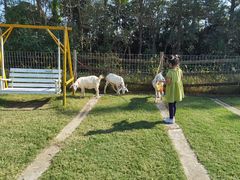 -前小桔亲子创意农场·草莓采摘·露营烧烤