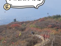 -北京西山国家森林公园