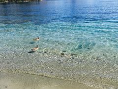 -Patagonia Chocolates(皇后镇店)