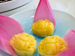 -阳澄湖半岛旅游度假区