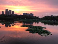 -前关湿地公园