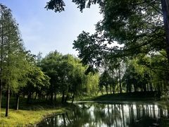 -贡湖湾湿地公园